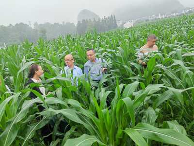 自治区农业农村厅唐咸来副厅长率队到我市调研基层农技推广工作