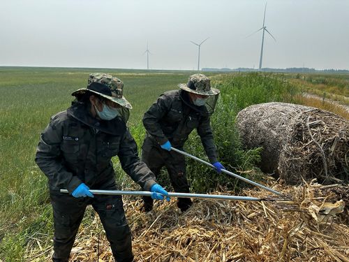 长在科技小院里的“小草” 农业技术推广的微光与韧劲