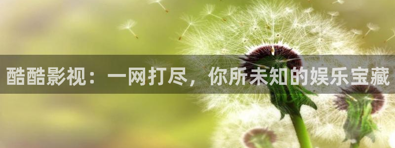 麦田汽车电影院