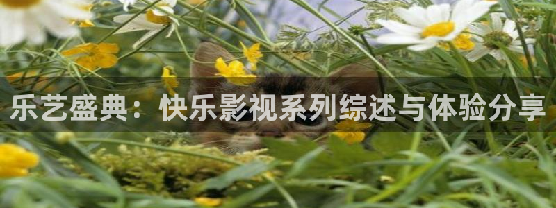 麦田映像：乐艺盛典：快乐影视系列综述与体验分享