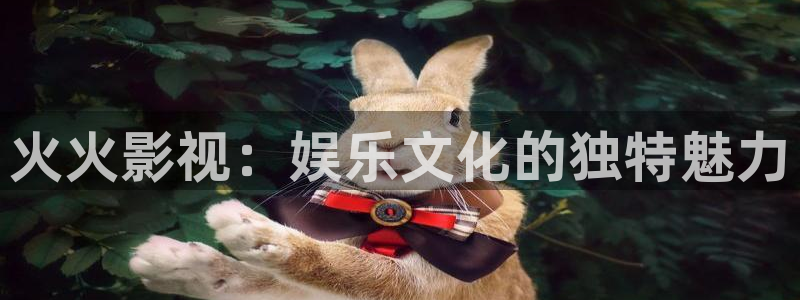 麦田视觉摄影怎么样