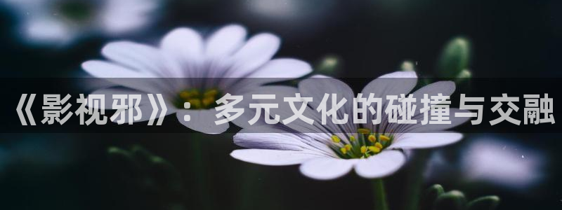麦田影视下载