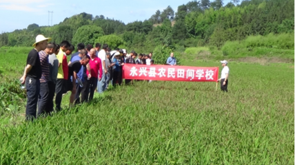 把农技推广服务办在田间地头——记永兴县农业农村局开展“学党史为群众办实事”农业技术推广活动