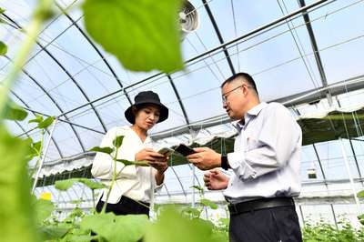 山东乡村振兴五年间 农业技术推广的探路与担当