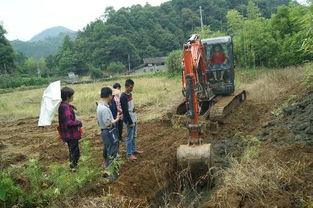 顺昌县农业局水产技术推广站深入仁寿镇余塘村指导田间工程改造，助推稻田养鱼项目发展