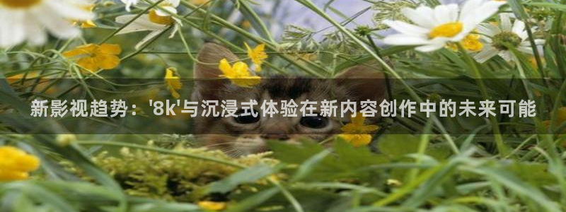 麦田影视官网下载