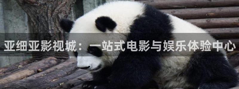 麦田影院官网入口：亚细亚影视城：一站式电影与娱乐体验中心