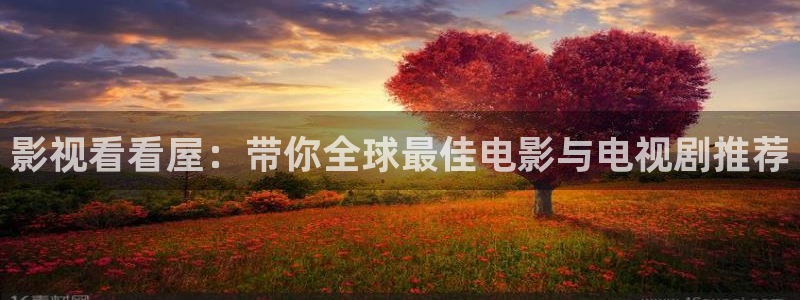 麦田电影高清在线观看