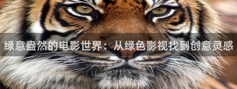 石家庄麦田汽车电影院影讯：绿意盎然的电影世界：从绿色影视找到创意灵感