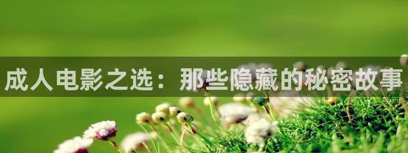 冀州麦田影城电影查询