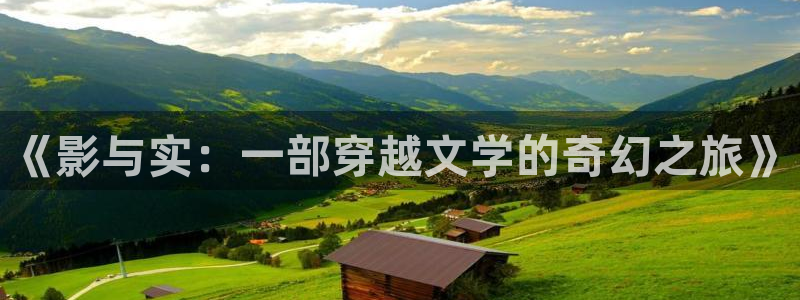 麦田影视网官网入口