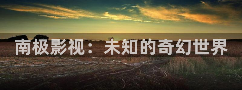 石家庄麦田汽车电影院影讯