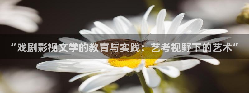 麦田影院官网入口