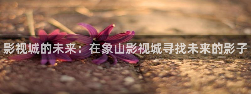 沂水麦田影城